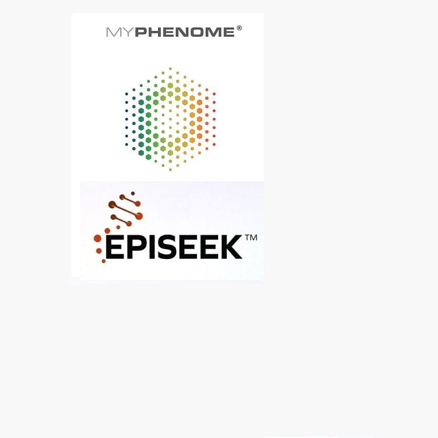 Overweight and obesity phenotypes explained visually.